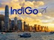 indigo travel declaration form